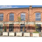 Zdjęcia użytkowników OnePlus Open