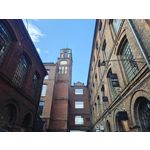 Zdjęcia użytkowników OnePlus Open