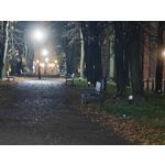 Zdjęcia użytkowników OnePlus Open