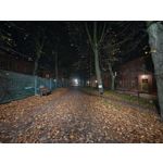 Zdjęcia użytkowników OnePlus Open