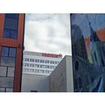 Zdjęcia użytkowników OnePlus Open