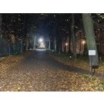 Zdjęcia użytkowników OnePlus Open