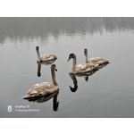 Zdjęcia użytkowników OnePlus 15