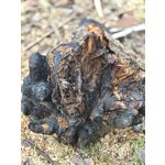 Zdjęcia użytkowników OnePlus 15