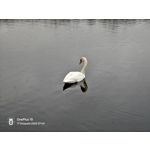 ZDJĘCIA Z TEGO TELEFONU