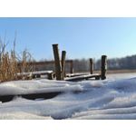 ZDJĘCIA Z TEGO TELEFONU