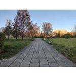 Zdjęcia użytkowników OnePlus 15