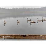 ZDJĘCIA Z TEGO TELEFONU