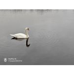 Zdjęcia użytkowników OnePlus 15