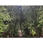 Zdjęcia użytkowników OnePlus Nord 5