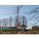 Zdjęcia użytkowników Oppo A31 2020