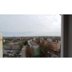 Zdjęcia użytkowników Oppo A31 2020