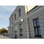 Zdjęcia użytkowników Oppo A31 2020