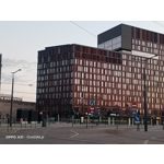 Zdjęcia użytkowników Oppo A31 2020