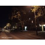 Zdjęcia użytkowników Oppo A31 2020