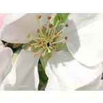 Zdjęcia użytkowników Oppo A31 2020
