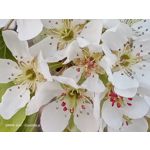 Zdjęcia użytkowników Oppo A31 2020