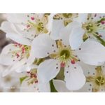 Zdjęcia użytkowników Oppo A31 2020