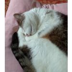 Zdjęcia użytkowników Oppo A38 Zdjęcia użytkowników Oppo A38