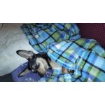 ZDJĘCIA Z TEGO TELEFONU