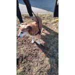 ZDJĘCIA Z TEGO TELEFONU