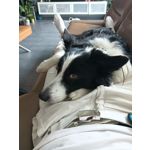 ZDJĘCIA Z TEGO TELEFONU