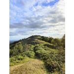 Zdjęcia użytkowników Oppo Find X5 Zdjęcia użytkowników Oppo Find X5