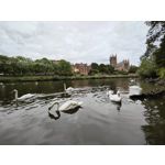 Zdjęcia użytkowników Oppo Find X5 Zdjęcia użytkowników Oppo Find X5