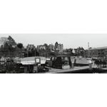 Zdjęcia użytkowników Oppo Find X5 Zdjęcia użytkowników Oppo Find X5