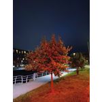 Zdjęcia użytkowników Oppo Find X5 Zdjęcia użytkowników Oppo Find X5