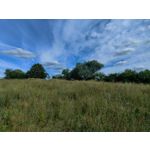 Zdjęcia użytkowników Oppo Find X5 Zdjęcia użytkowników Oppo Find X5