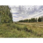 Zdjęcia użytkowników Oppo Find X5 Zdjęcia użytkowników Oppo Find X5