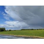 Zdjęcia użytkowników Oppo Find X5 Zdjęcia użytkowników Oppo Find X5