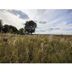 Zdjęcia użytkowników Oppo Find X5 Zdjęcia użytkowników Oppo Find X5