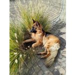 ZDJĘCIA Z TEGO TELEFONU