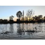 Zdjęcia użytkowników Oppo Find X5 Zdjęcia użytkowników Oppo Find X5