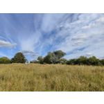 Zdjęcia użytkowników Oppo Find X5 Zdjęcia użytkowników Oppo Find X5