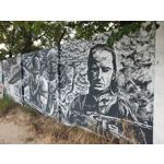 Zdjęcia użytkowników Oppo Reno 10x Zoom