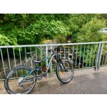 Zdjęcia użytkowników Oppo Reno 10x Zoom