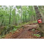 Zdjęcia użytkowników Oppo Reno 10x Zoom