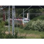 Zdjęcia użytkowników Oppo Reno 10x Zoom