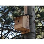 Zdjęcia użytkowników Oppo Reno 10x Zoom