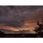 Zdjęcia użytkowników Oppo Reno 10x Zoom