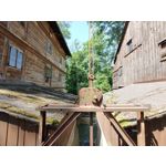 Zdjęcia użytkowników Oppo Reno 10x Zoom