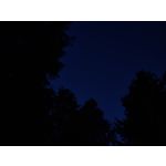 Zdjęcia użytkowników Oppo Reno 10x Zoom