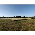 Zdjęcia użytkowników Oppo Reno 10x Zoom