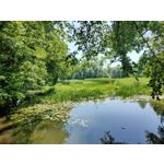 Zdjęcia użytkowników Oppo Reno 10x Zoom