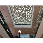 Zdjęcia użytkowników Oppo Reno 10x Zoom