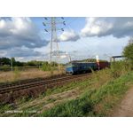 Zdjęcia użytkowników Oppo Reno 3 CPH2043