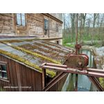 Zdjęcia użytkowników Oppo Reno 3 CPH2043